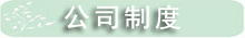 公司制度