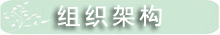 组织架构