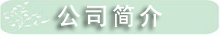 公司简介